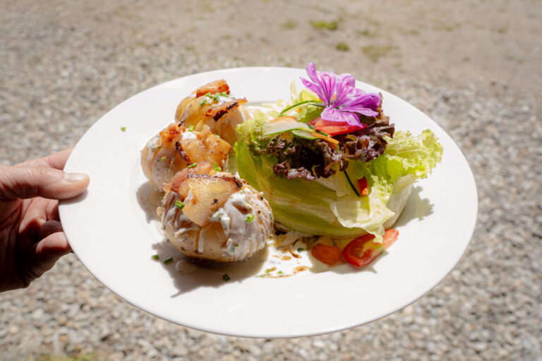 Kartoffeln mit gebratenem Speck, Kräuterjoghurt und Salatbegleitung